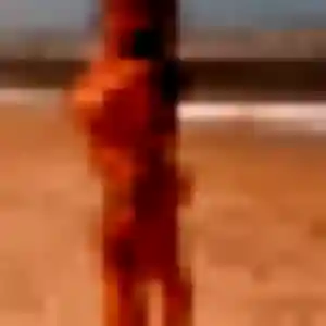 Photo de Josette à Ruy-Montceau (25 ans) - plan cul anonyme