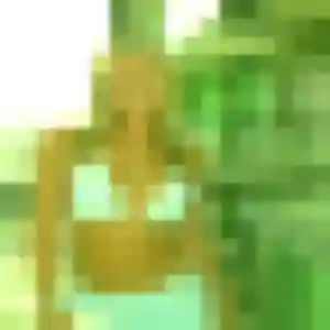 Photo de Iseult à Saales (44 ans) - plan cul anonyme