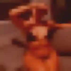 Photo sexy de Irina, 32 ans à Sablé-sur-Sarthe - plan discret