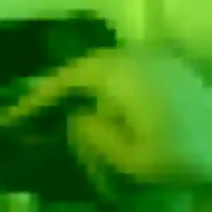 Suzanne (37 ans) à Saint-Agnin-sur-Bion attend une rencontre aujourd'hui