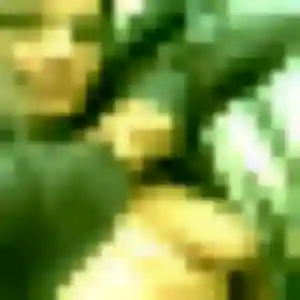 Anne (42 ans) à Saint-Aignan-le-Jaillard cherche une rencontre ce soir