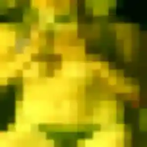 Charmante Louise, 43 ans à Saint-Aignan-le-Jaillard - découvrir son profil