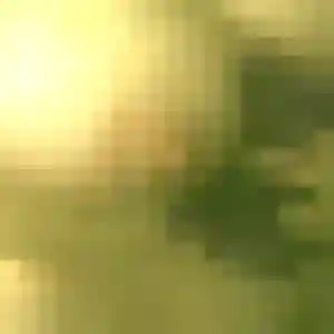 Photo perso de Justine, 41 ans à Saint-Alban-de-Montbel - plan discret