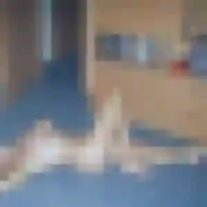 Photo de Denise à Saint-Alexandre (40 ans) - plan cul anonyme