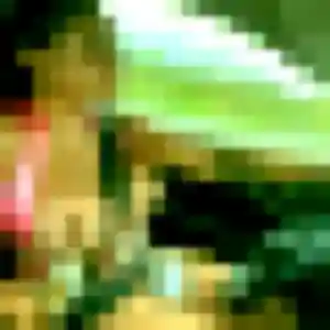 Quitterie de Saint-Amand-Montrond, 44 ans - plan cul sans lendemain