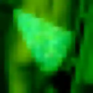 Découvre Zina, 39 ans à Saint-Amand-sur-Fion en privé