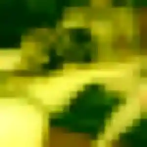 Photo perso de Constance, 29 ans à Saint-Amans-des-Cots - rencontre sans lendemain