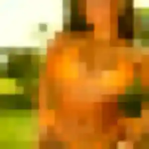 Photo perso de Wanda, 30 ans à Saint-Amans-des-Cots - rencontre sans lendemain