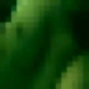 Photo privée de Therese, 25 ans à Saint-André-de-la-Roche - rencontre coquine
