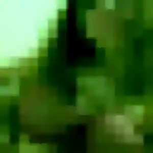 Armelle, 33 ans, cherche un plan cul à Saint-Antoine-sur-l'Isle