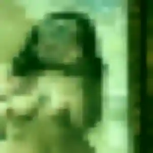 plan cul à Saint-Antoine-sur-l'Isle : photo de Yvette, 31 ans - sans engagement