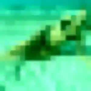 Chloe-Anne, 29 ans, dispo pour plan cul à Saint-Arnoult-en-Yvelines