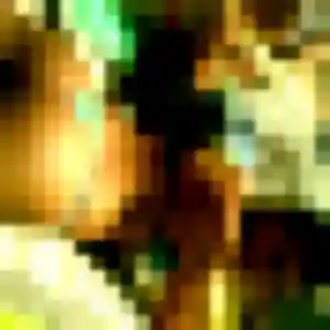 Elsa (35 ans) à Saint-Aubin-des-Coudrais attend un plan cul rapidement