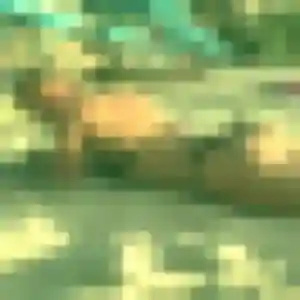 Découvre Solene, 43 ans à Saint-Aubin-des-Coudrais en privé