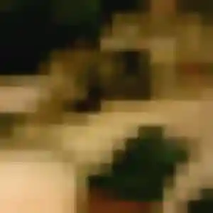 Photo de Kelly à Saint-Aubin-du-Cormier (28 ans) - plan cul anonyme