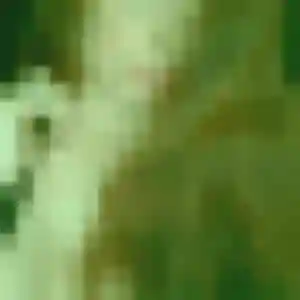 plan cul à Saint-Aubin-sur-Quillebeuf : profil de Celine, 33 ans - accès libre