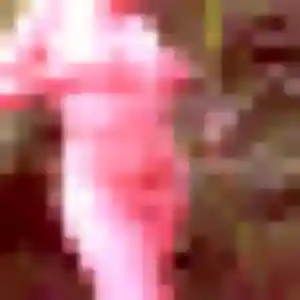 Ximena (34 ans) à Saint-Caprais-de-Bordeaux cherche un plan cul ce soir