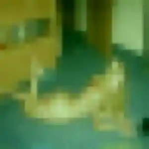 Colette, 41 ans, dispo pour plan cul à Saint-Christol-lez-Alès