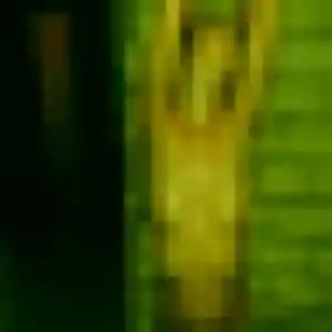 Profil de Jeannine à Saint-Ciers-d'Abzac (26 ans) - plan cul gratuit