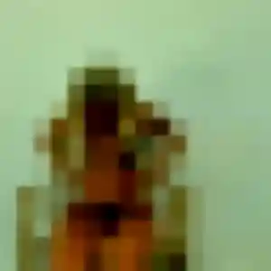 Contacte Regine, 34 ans à Saint-Clair-de-Halouze en privé