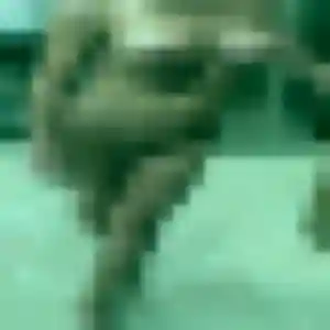 Lilou, femme de 44 ans cherche plan cul à Saint-Clément-des-Levées