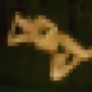 Morgane, 27 ans, dispo pour plan cul à Saint-Côme-et-Maruéjols