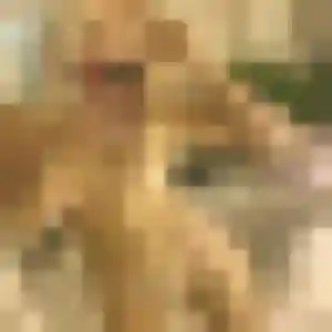 Contacte Ginette, 29 ans à Saint-Cybardeaux gratuitement