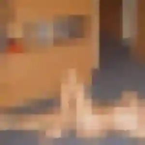 Photo perso de Sabrina, 33 ans à Saint-Denis-de-Jouhet - plan discret