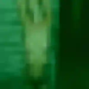 Louise (43 ans) à Saint-Denis-de-l'Hôtel cherche une rencontre aujourd'hui