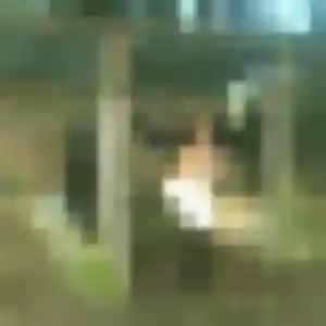 Profil de Sasha à Saint-Didier-au-Mont-d'Or (32 ans) - plan cul sans inscription