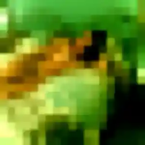 Jolie Constance, 24 ans à Saint-Donat-sur-l'Herbasse - découvrir son profil