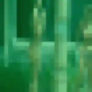 Belle Morgane, 33 ans à Saint-Étienne-de-Brillouet - la contacter