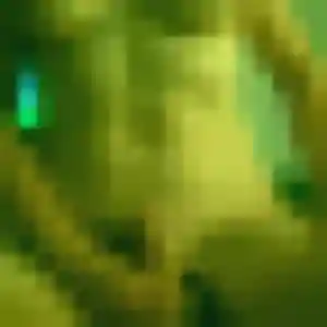 Valentine, 39 ans, dispo pour plan cul à Saint-Étienne-de-Brillouet