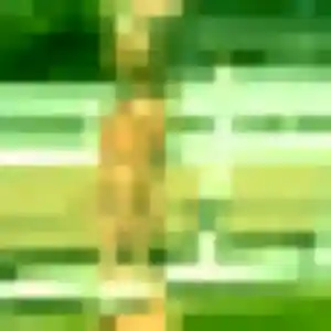 Photo sexy de Zina, 34 ans à Saint-Étienne-de-Crossey - plan discret