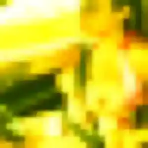 Rejoins Camille, 28 ans à Saint-Étienne-de-Saint-Geoirs en privé