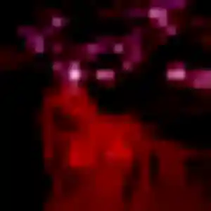 Rencontre Renee, 22 ans à Saint-Félix gratuitement