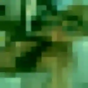 Capucine (23 ans) à Saint-Forgeux-Lespinasse cherche un plan cul ce soir