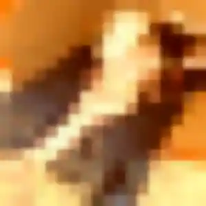 Jeanne, fille de 31 ans propose plan cul à Saint-Genès-de-Fronsac