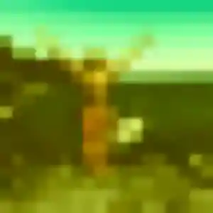 Clara de Saint-Geniès-de-Malgoirès, 40 ans - plan cul sans lendemain