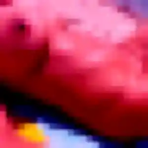 Djamila, 28 ans, disponible à Saint-Geniès-de-Malgoirès pour une rencontre coquine