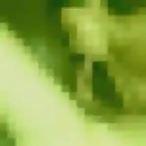 Jolie Therese, 26 ans à Saint-Genis-de-Saintonge - la contacter