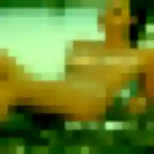 Photo perso de Garance, 37 ans à Saint-Genis-les-Ollières - plan discret