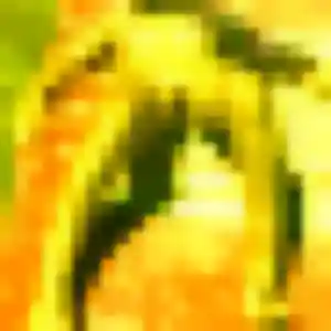 Photo perso de Zina, 39 ans à Saint-Geoire-en-Valdaine - rencontre sans lendemain