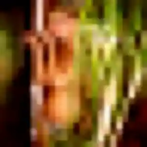 Jolie Antoinette, 29 ans à Saint-Georges-de-Mons - découvrir son profil