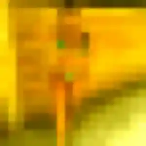 Profil de Rachelle à Saint-Georges-de-Mons (44 ans) - plan cul gratuit