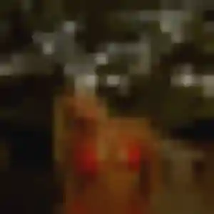 plan cul à Saint-Georges-de-Pointindoux : photo de Rachelle, 31 ans - sans engagement