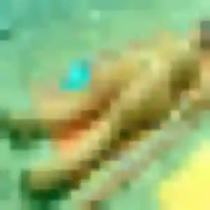 Louise (36 ans) à Saint-Georges-des-Groseillers attend une rencontre ce soir