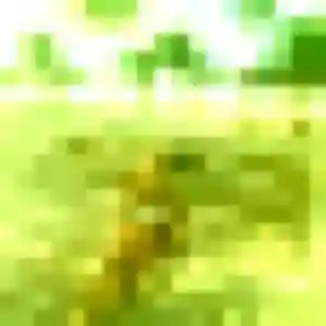 Photo sexy de Ludivine, 36 ans à Saint-Georges-des-Groseillers - plan discret