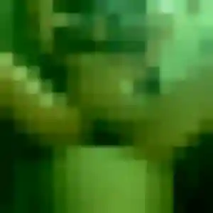 Rencontre Noemie, 26 ans à Saint-Georges-du-Bois gratuitement