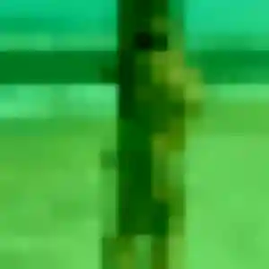 Rejoins Sonia, 23 ans à Saint-Germain-des-Fossés en t'inscrivant